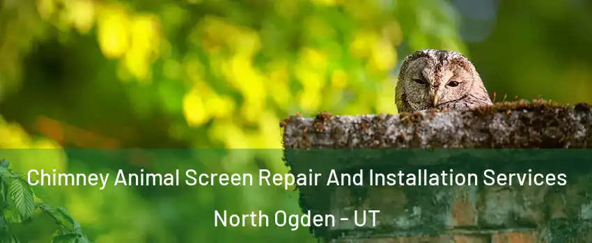  Chimney Animal Screen Repair And Installation Services North Ogden - UT