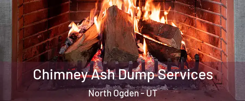  Chimney Ash Dump Services North Ogden - UT