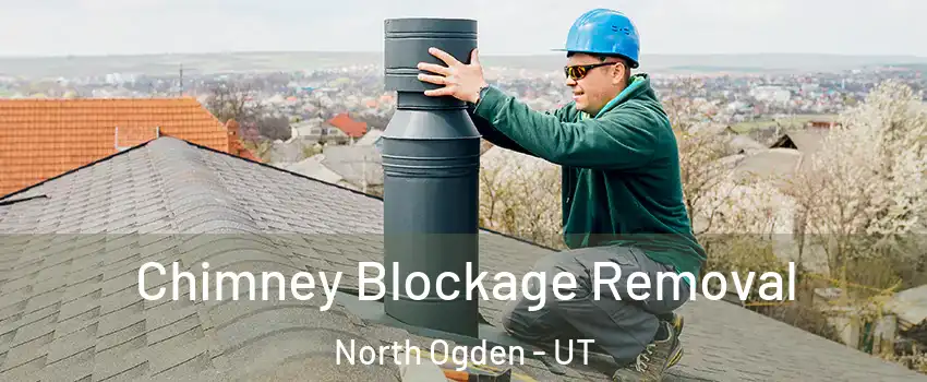  Chimney Blockage Removal North Ogden - UT