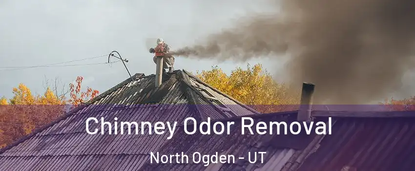  Chimney Odor Removal North Ogden - UT