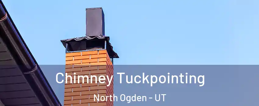  Chimney Tuckpointing North Ogden - UT