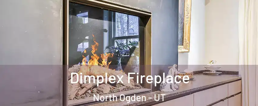 Dimplex Fireplace North Ogden - UT