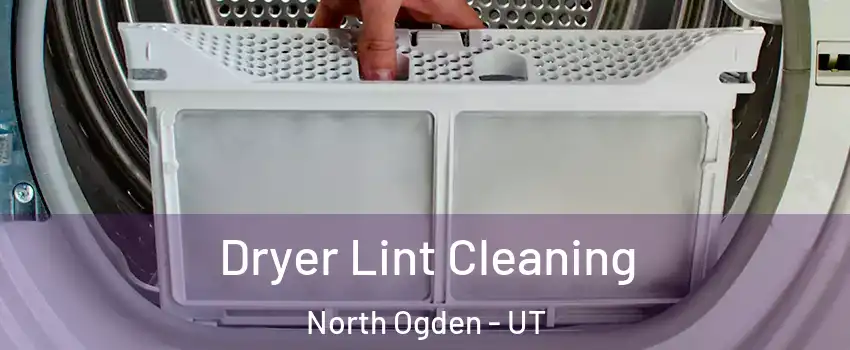  Dryer Lint Cleaning North Ogden - UT