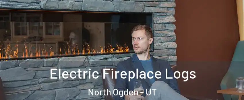 Electric Fireplace Logs North Ogden - UT