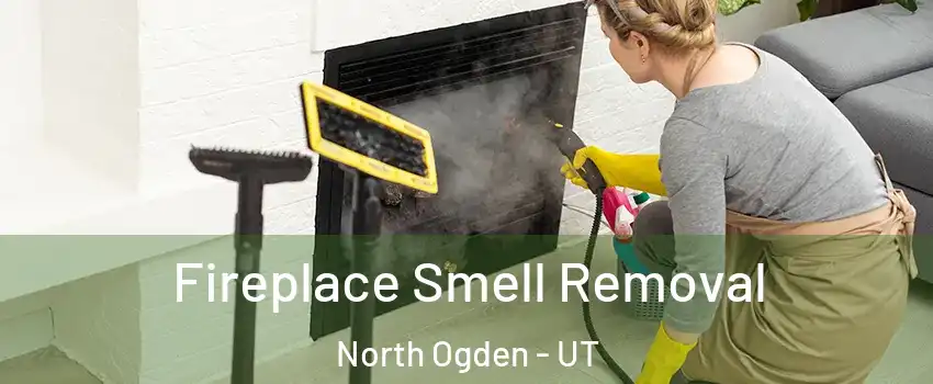  Fireplace Smell Removal North Ogden - UT
