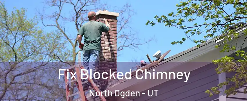  Fix Blocked Chimney North Ogden - UT