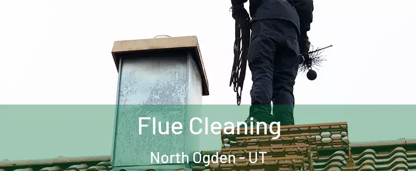  Flue Cleaning North Ogden - UT