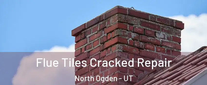  Flue Tiles Cracked Repair North Ogden - UT