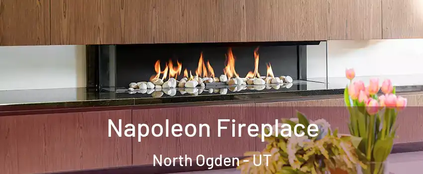  Napoleon Fireplace North Ogden - UT