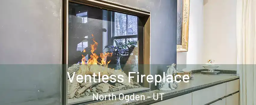  Ventless Fireplace North Ogden - UT